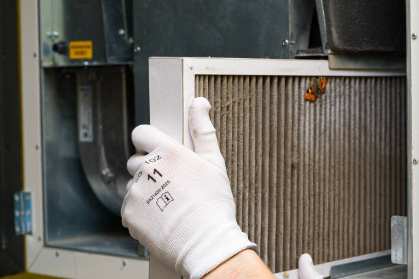 Best Dryer Vent Cleaning Services  in Madison, IN